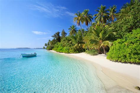 Cancel free on most hotels. Consigli per un viaggio alle Maldive: tra natura e resort ...