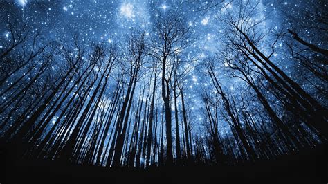 Starry Night Sky 1920x1080 Wallpapers Top Free Starry Night Sky
