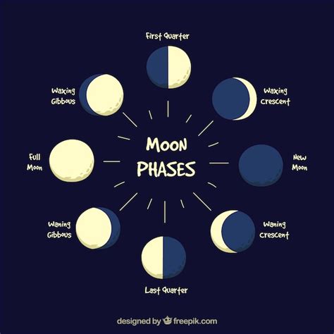 Premium Vector Various Phases Of The Moon