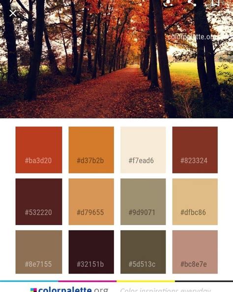 Rustic Color Palettes House Color Palettes Color Schemes Colour Palettes Warm Colour Palette