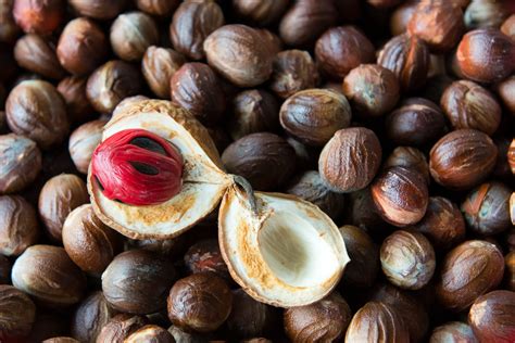 Real Food Encyclopedia | Nutmeg and Mace | FoodPrint
