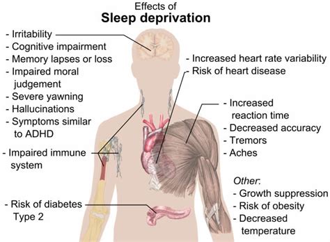 Sleep Deprivation Leads To Symptoms Of Schizophrenia Neuroscience News