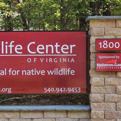 Wildlife Center Of Virginia In Waynesboro Va