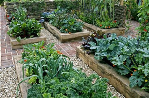 Grand Guide Du Potager Pour Les Débutants Tout Pour Bien Commencer