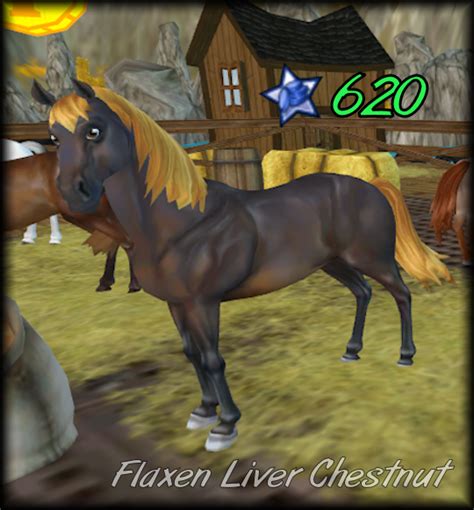 Star Stable Morgan Star Stable Help