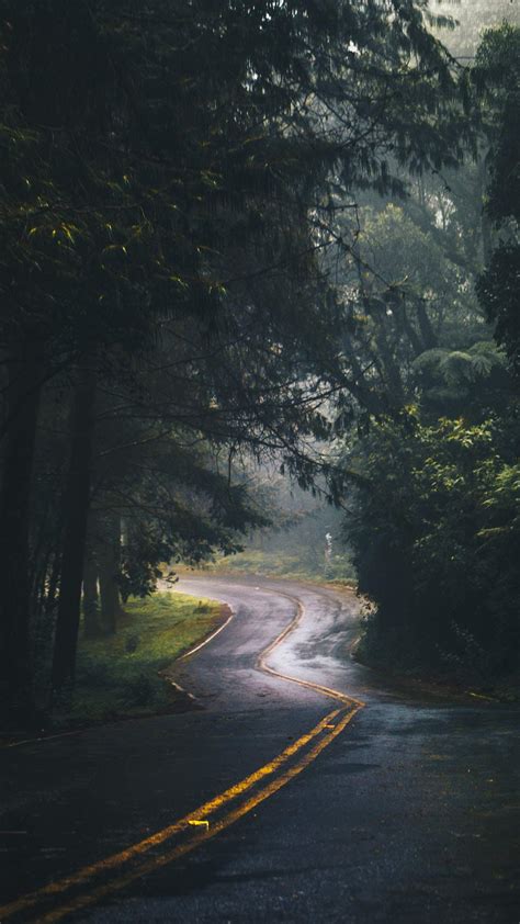 Enjoy our curated selection of 2592 green wallpapers and backgrounds. Nature Road Green Forest Trees iPhone Wallpaper - iPhone ...