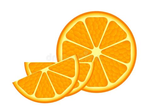 Orange Slices Stock Vector Illustration Of Isolated 28179764