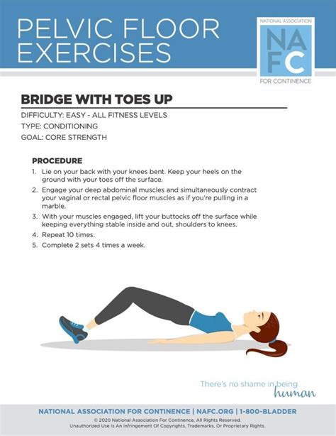 Downloadable Exercises For Your Pelvic Floor Lower Back Pain Exercises