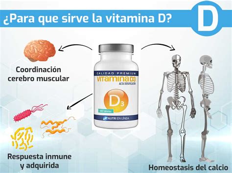 ¿qué Alimentos Contienen Vitamina D Infografia Nutri En Línea