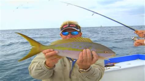 Yellowtail Snapper Fishing Amberjack And Permit On Fly In Key West Fl