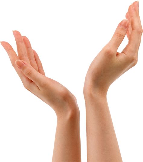 Hands Png 8 Png All