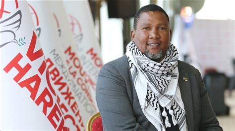 mandela s grandson continues legacy to fight for peace
