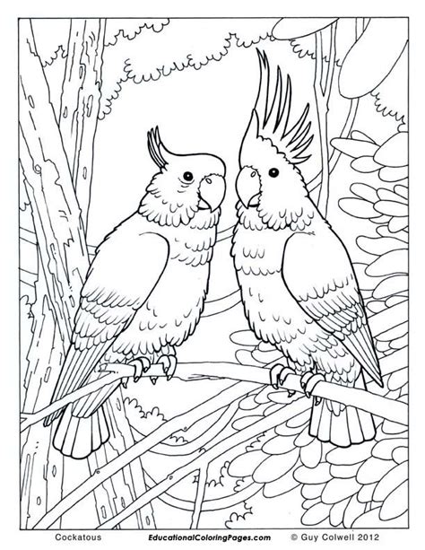 Animal Coloring Pages Free Printable Animal Coloring
