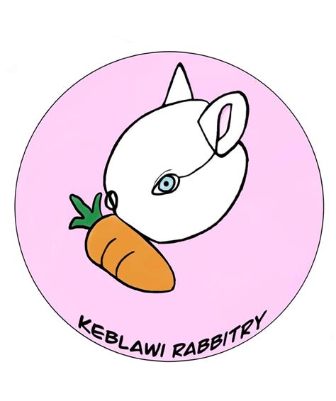 Keblawi Rabbitry Netherland Dwarf Rabbit Breeder Sydney Nsw