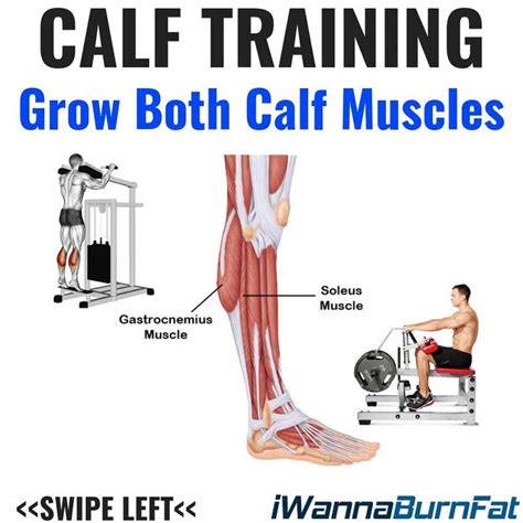 If You Have Stubborn Calves Save This Post The Calves Consist Of