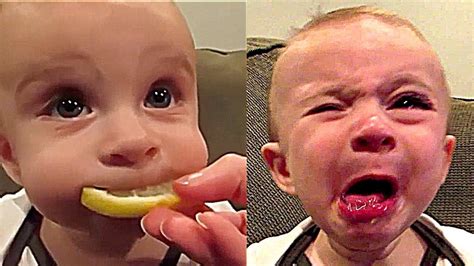 Try Not To Laugh Challenge Funny Kids Fails And Cute Baby Videos