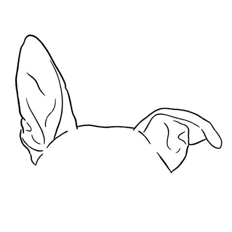 Pet Ear Drawing Dog Ear Outlines Pet Ear Outlines Tattoo Etsy