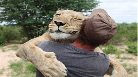 So Touching Animals That Do Not Forget Their Owner After Years Youtube