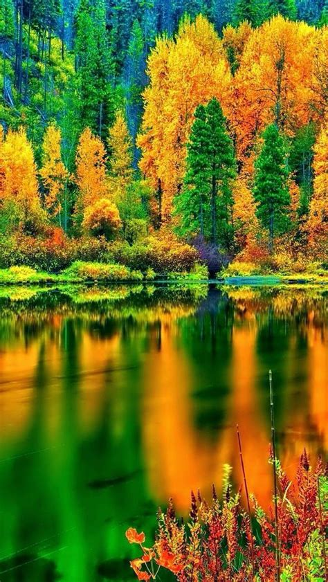 Autumn Reflections Mother Nature Moments Beautiful Mother Nature