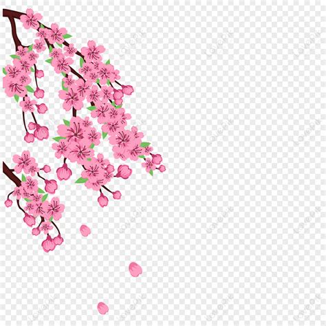 베트남 봄 축제 분홍색 복숭아 꽃 일러스트 테두리새해휴일 장식 Png 일러스트 무료 다운로드 Lovepik