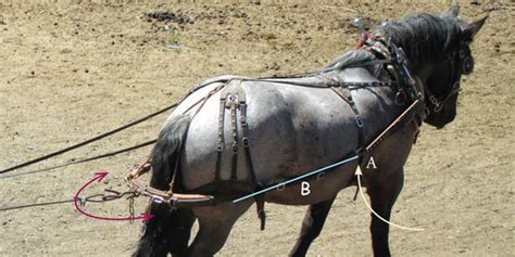 Work Horse And Mule Harness Design And Function Part 3 Small Farmers