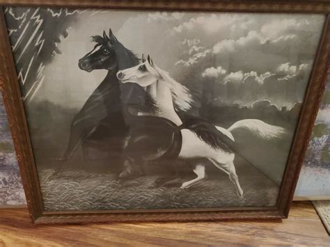 Spirited Horses No 2 Original 1904 Black And White Horses Running From