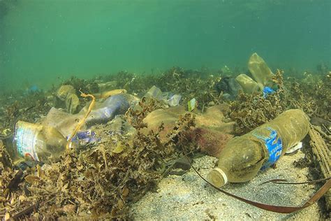 The Different Types Of Marine Pollution