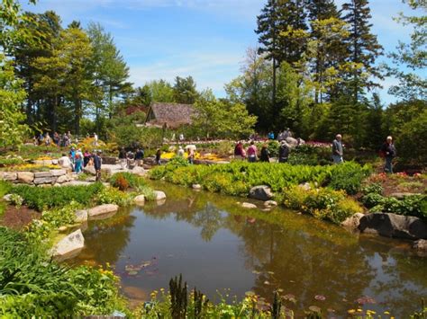 Virtual Visit Coastal Maine Botanical Gardens New England Today