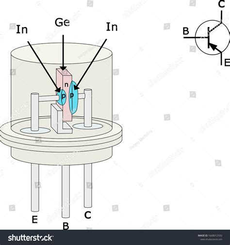 Structure Pnp Germanium Alloy Junction Transistor Stock Vector Royalty
