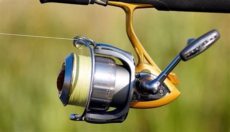Best Spinning Reels Under In Reviewed By Fishing