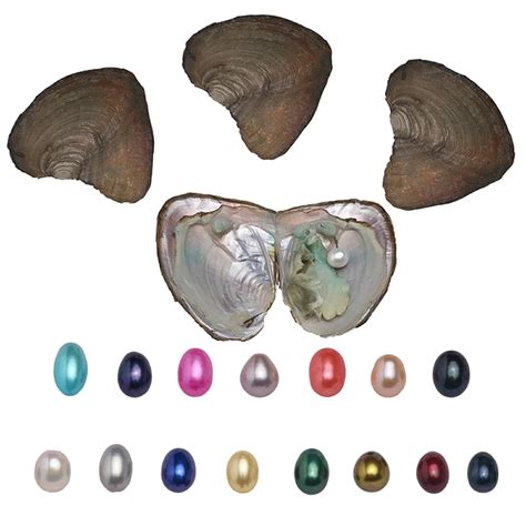 Pearls In The Oysters 10pcs Freshwater Cultured Pearl Oyster With 7 8mm