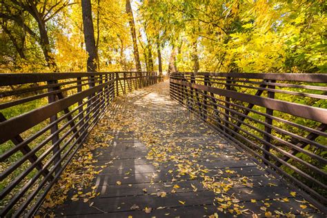 Wooden Bridge Through Autumn Woods Stock Image Image Of Fallen Path