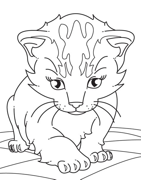 Baby Kitten Coloring Pages Coloring Home