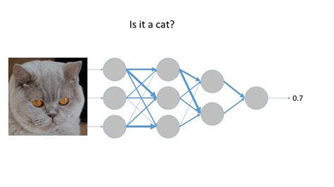 Artificial Neural Networks What They Are And How Theyre Trained