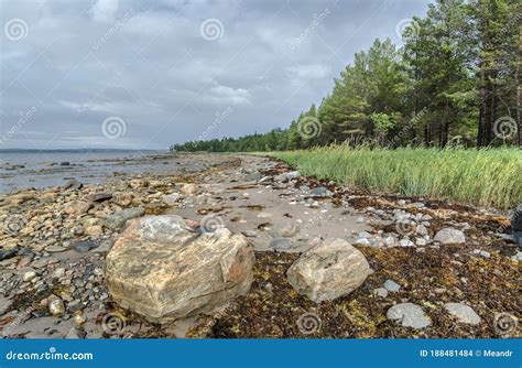 Sandy Shore Stock Photo Image Of Lake Seascape Seaside 188481484
