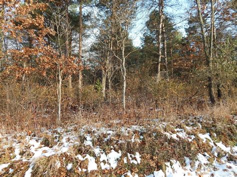 Lot 5 Johnson Rd, Three Rivers, MI 49093 | Trulia