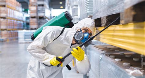 Life Lessons From Pest Management Professionals