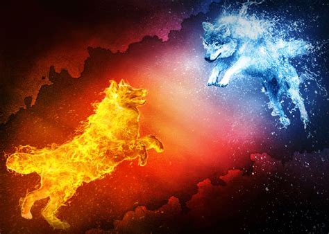 Fire Vs Water Wolf Poster By Groltard Displate