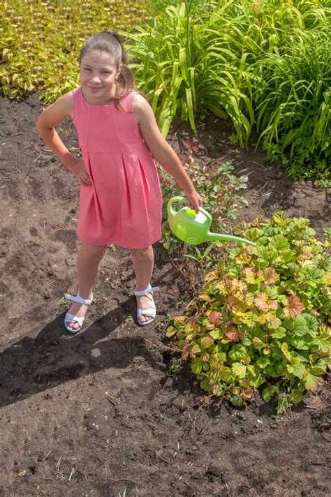 Cute Girl Watering Plants Stock Image Image Of Care 34295789