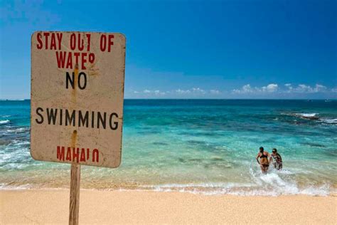 15 Helpful Tips For Best Snorkeling In Hawaii 2023