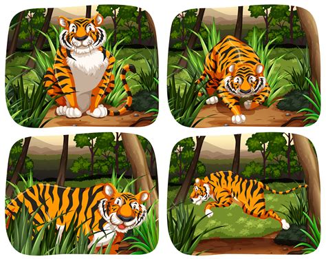 Tiger living in the jungle - Download Free Vectors, Clipart Graphics & Vector Art