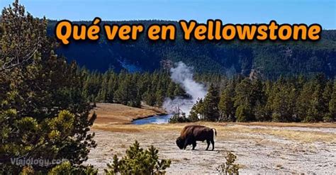 Guía Para Visitar Yellowstone Por Tu Cuenta
