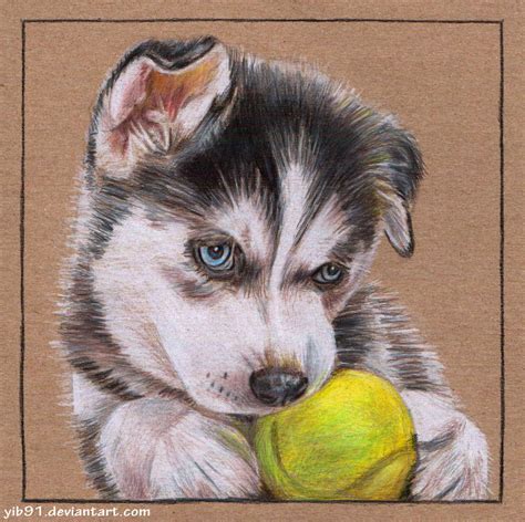 Siberian Husky Puppy By Artbybryanna On Deviantart