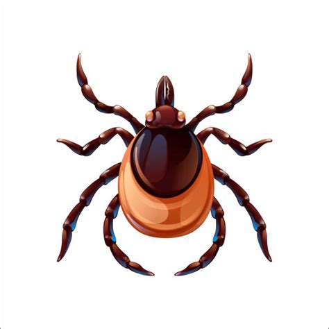 250 Ticks Bugs Background Stock Illustrations Royalty Free Vector