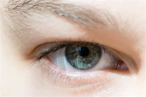 Hazel Eyes Color Pictures Genetics Facts Randomfunfacts