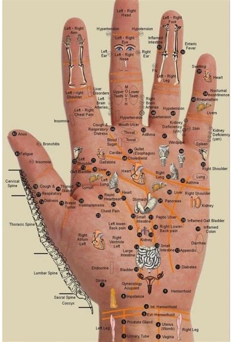 Pin By Linda Marcus Brinkman On Doterra Blends Hand Reflexology