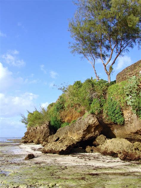 Gambar Pantai Pemandangan Laut Pohon Alam Batu Lautan Gurun