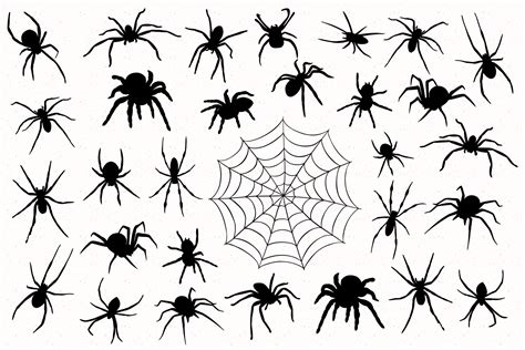 Spiders Silhouettes
