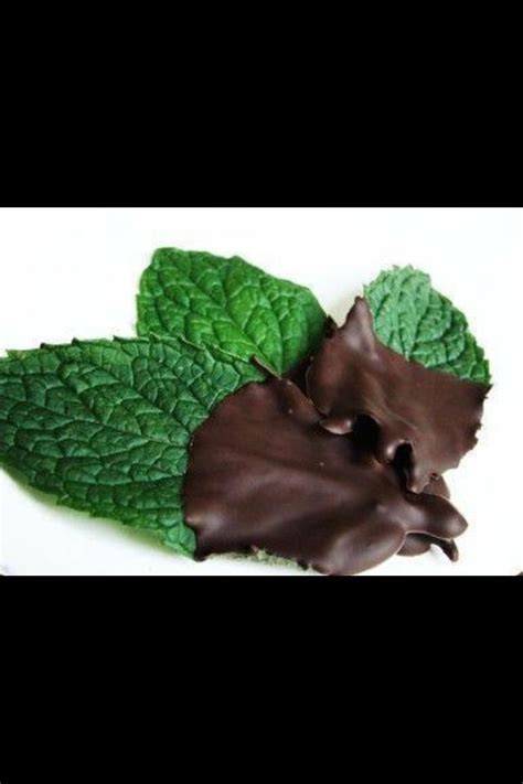 Chocolate Dipped Mint Leaves After Dinner Mints Dinner Mints Food