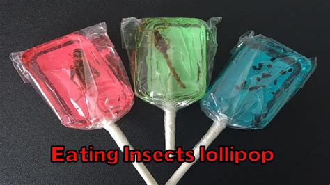 Eating Insect Lollipops Supermadhouse83 Youtube